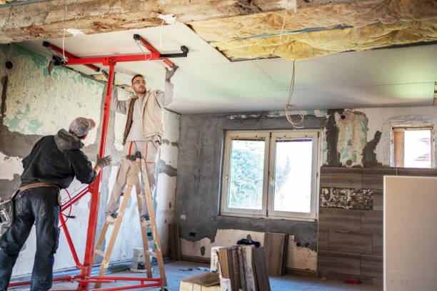 Best Specialized Insulation Services in Bromley, KY