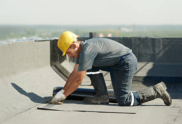 Best Residential Insulation in Bromley, KY